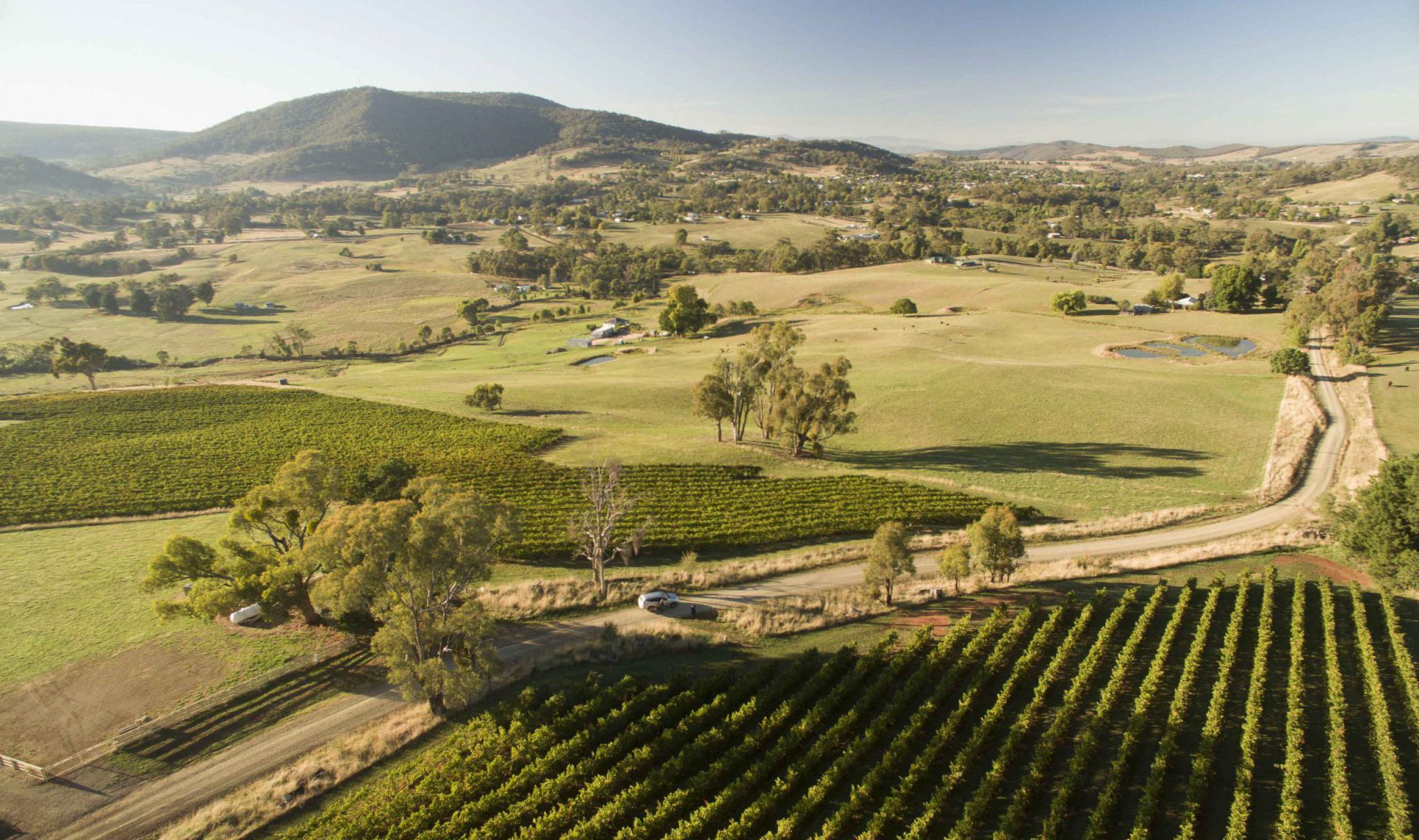 ride-and-seek-vineyards-destination-nsw