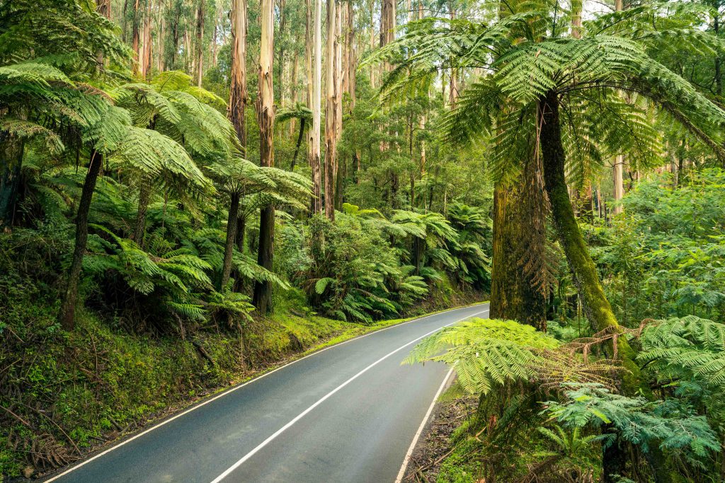 Cycling Yarra Ranges VIC