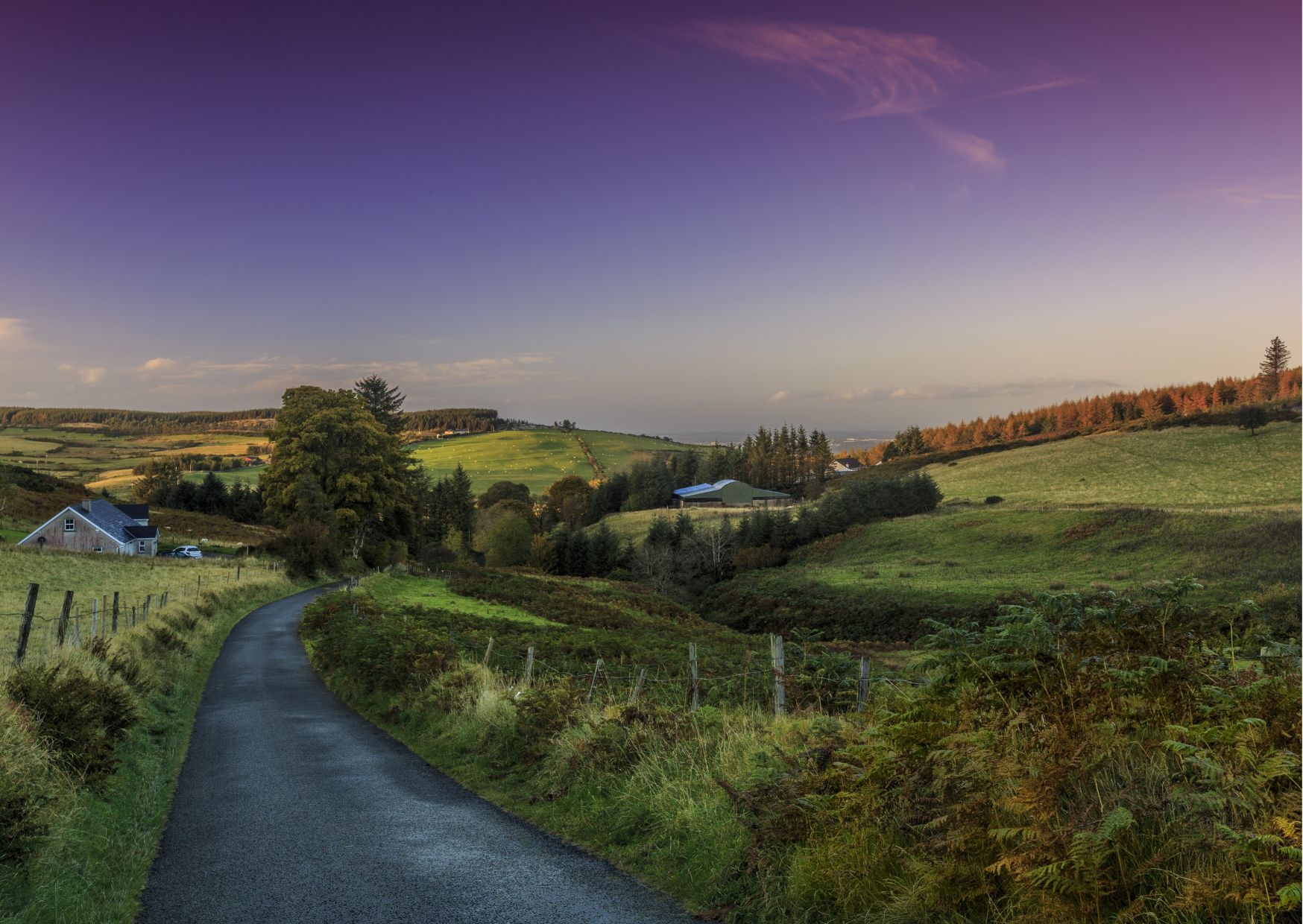 Quiet country road winding through lush green fields and rolling hills in the Irish countryside.